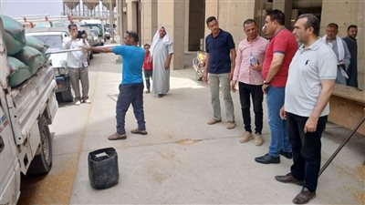 توريد 193 طنا من القمح بالصوامع والشون في الفيوم