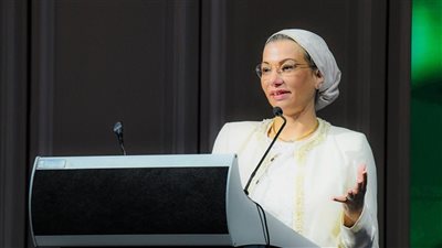 وزيرة البيئة: التنمية المستدامة في مصر تعتمد على الشراكات المجتمعية وتوسيع السياحة