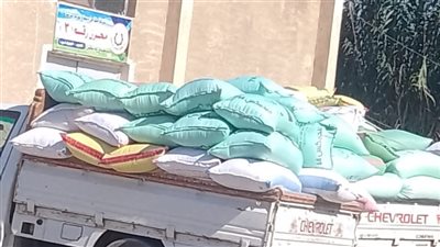 انتظام توريد القمح لشون وصوامع البحيرة 