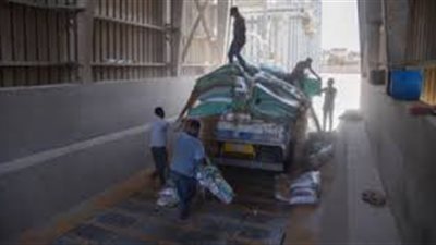 توريد 55 الف و195 طن قمح لشون وصوامع الإسكندرية 