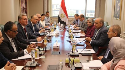 وزيرا الكهرباء والبترول يناقشان خطة العمل المشترك وتوفير الوقود لتأمين التغذية الكهربائية