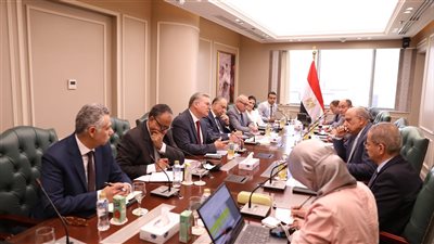 وزيرا البترول والكهرباء يناقشان خطة العمل المشترك وتوفير الوقود خلال فصل الصيف