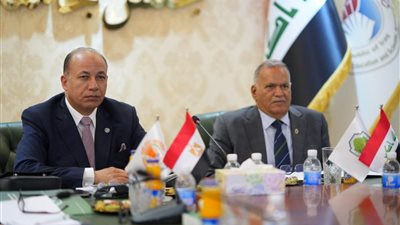 رئيس جامعة المنصورة يزور جامعة المستقبل العراقية لتعزيز سبل التعاون