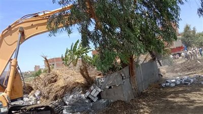 إزالة 5 حالات تعدى على الأرضي الزراعية بقرية الهياتم بالمحلة 