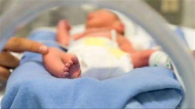 الإحصاء: تحسن معدلات الإنجاب خلال عام 2024