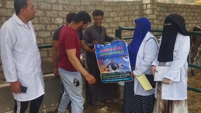 تحصين 745 ألف رأس ماشية بالشرقية ضد الحمى القلاعية والوادي المتصدع 