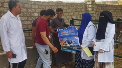 الشرقية تُزيل 12 حالة تعدي على الأراضي الزراعية وأملاك الدولة