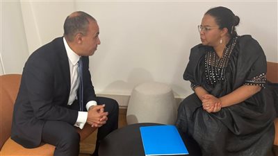 وزير الخارجية يؤكد دعم مصر للتنمية في دول حوض النيل بمبلغ ١٠٠ مليون دولار
