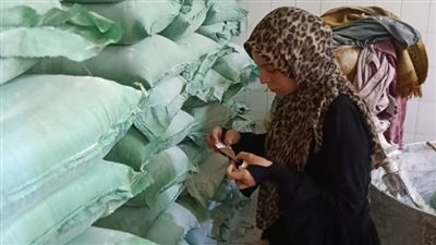 تحرير 19 محضرا والتحفظ على مواد غذائية منتهية الصلاحية في حملة ببنى سويف