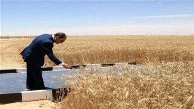 افتتاح موسم حصاد القمح في الضبعة.. خطوة نحو تعزيز الأمن الغذائي وتحقيق الاكتفاء الذاتي