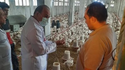 الشرقية تطلق خطة طبية موسعة لتأمين مزارع الدواجن من الأمراض الوبائية