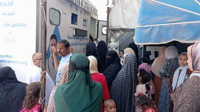 الكشف على 303 مواطن خلال قافلة طبية بقرية النبراوية بكفر الدوار