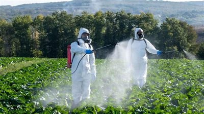 دورك في حماية النحل.. زراعة نباتات صديقة وتنظيم المياه