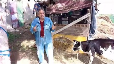 أمراض الأبقار وطرق علاجها