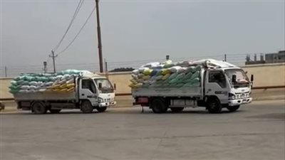 توريد 556 ألف طن قمح محلي مع تزايد معدلات الحصاد بالشرقية