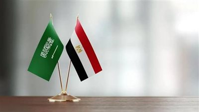 محامي دولي: استثمارات الرياض بأمريكا ممارسة مشروعة ومصر والسعودية ركان لا يتزعزعان
