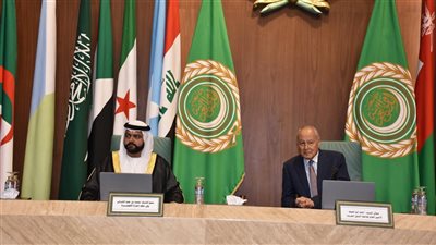   أبو الغيط يشارك في الاحتفال باليوم العربي للاستدامة