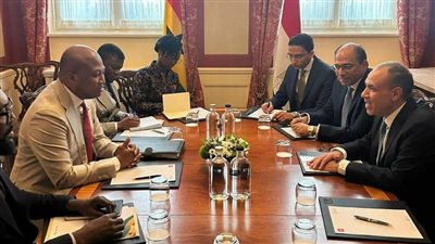 وزير الخارجية يبحث مع نظيره الغاني تعزيز التعاون في مكافحة الإرهاب والصحة 