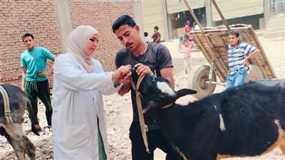 قافلة بيطرية مجانية بميت حمل لدعم الثروة الحيوانية بالشرقية