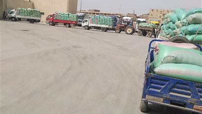 توريد 408 آلاف طن من القمح لشون وبصوامع المنيا
