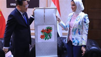  الإسكندرية تستقبل وفد مقاطعة جوانجدونج الصينية لبحث سبل التعاون الاقتصادي والتكنولوجي 