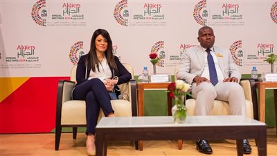 المشاط: الابتكار وريادة الأعمال ركيزتان أساسيتان لتجاوز 