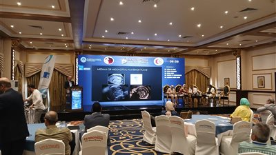 مؤتمر طبى بالفيوم يناقش أحدث الأبحاث العلمية فى مجال النسا والولادة 