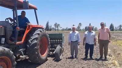 «الأرز بالسطارة».. تجربة جديدة لترشيد المياه وزيادة الإنتاجية في ديرب نجم