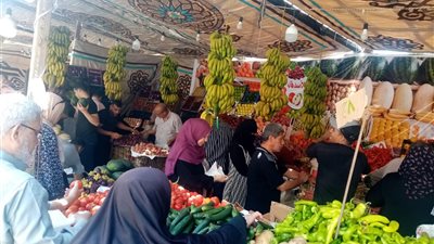 استمرار انطلاق أسواق اليوم الواحد الجمعة والسبت كل أسبوع بمدينة المنصورة