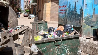 رفع 530 طن مخلفات بلدية وتجمعات قمامة في حملة نظافة بالمنصورة