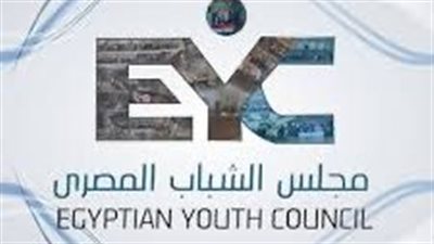 مجلس الشباب: مصر داعم رئيسي للقضايا الأفريقية.. وشباب القارة ركيزة تحقيق أجندة 2063