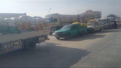 توريد 567 ألف طن قمح إلى شون وصوامع الشرقية