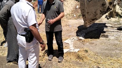 تنفيذ 406 قرار إزالة تعديات على الأراضي الزراعية بالدقهلية