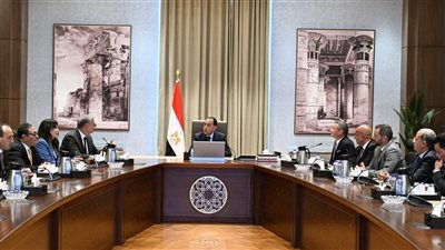 مدبولي يبحث مع نائب رئيس شركة إكسون موبيل العالمية لشئون الاستكشاف التعاون المشترك 