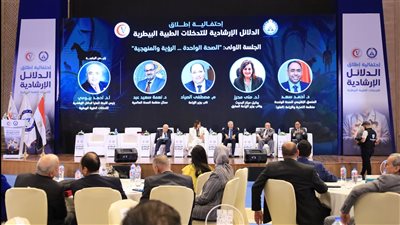 هيئة الثروة السمكية: مصر تحتل المرتبة الأولى إفريقيا في إنتاج الأسماك