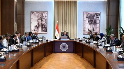 مدبولى يناقش تحديات قطاع صناعة الحديد والصلب وآليات وخطوات النهوض به