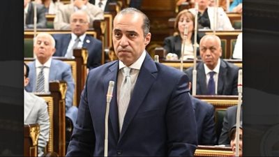 الشئون النيابية: الحكومة آلت على نفسها ترك المساحة للقوى السياسية لتقرر النظام الانتخابي   