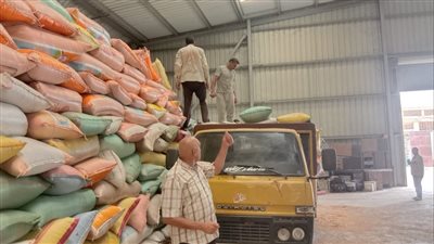 شون وصوامع البحيرة تواصل استقبال محصول القمح