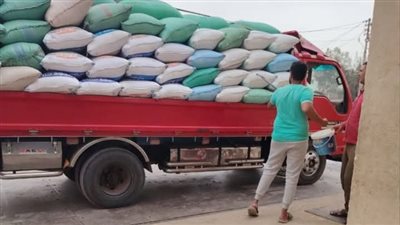 توريد 570 ألف طن قمح لصوامع وشون محافظة الشرقية 