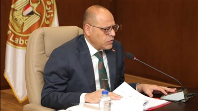 وزير العمل يشكر اللجنة العمالية السعودية لرد مستحقات عمال مصريين 