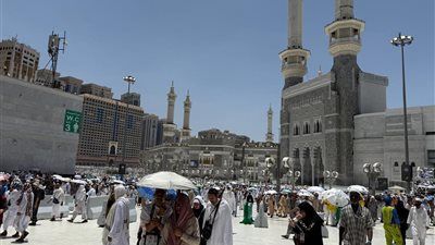 متابعة على مدار الساعة لرحلات نقل حجاج السياحة جوا وبرا للأراضي المقدسة