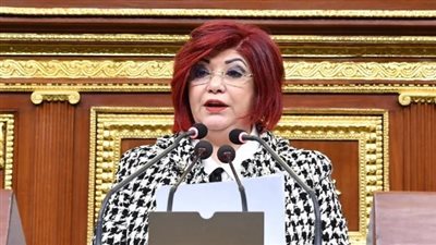 رئيس سياحة النواب تستعرض اتفاقية لإقامة خط جوى منتظم بين مصر وعمان