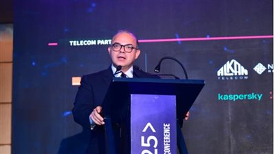 الرقابة المالية: التحول الرقمي السريع بمصر يخلق فرصا جديدة لكنه يزيد من التحديات والتهديدات السيبرانية