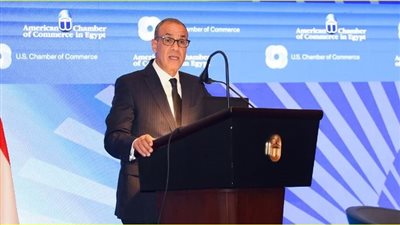 تفاصيل مشاركة وزير الخارجية في المنتدى الاقتصادي المصري الأمريكي