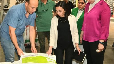 محافظ البحيرة تتفقد 5 مصانع كبرى بالمنطقة الصناعية 