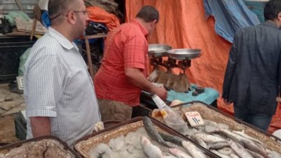 ضبط مخبز سياحي يعمل بدون ترخيص بمركز المحمودية بالبحيرة