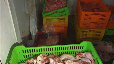 ضبط 2 طن لحوم ودواجن فاسدة في حملات تفتيشية بالشرقية