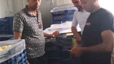 ضبط 3 طن جوافة معباة بدون بيانات أو علامات تدل على مصدرها بالبحيرة