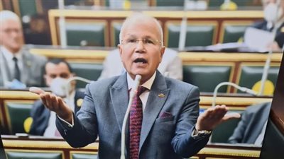 السيد شمس الدين يطالب بتثبيت العمالة المؤقتة.. وتخصيص معاش للفلاح 