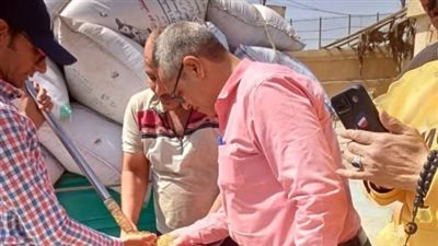 توريد 576 ألف طن قمح لصوامع وشون الشرقية 